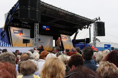 wdr4