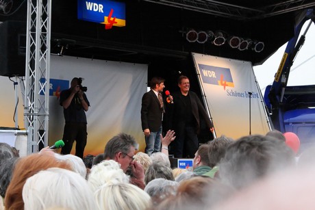 wdr4