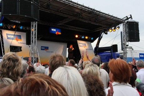 wdr4