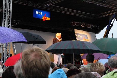 wdr4