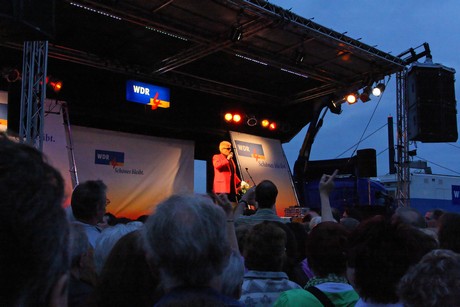 wdr4