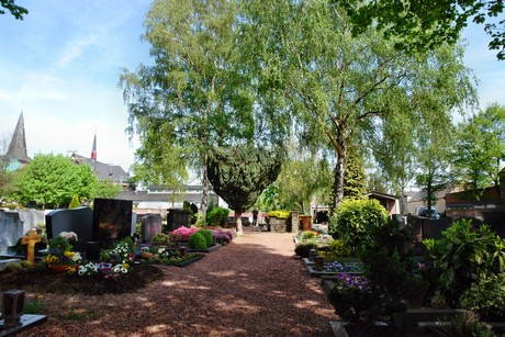 friedhof
