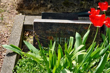 friedhof