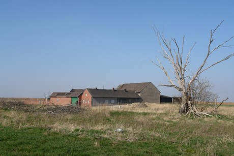etzweiler