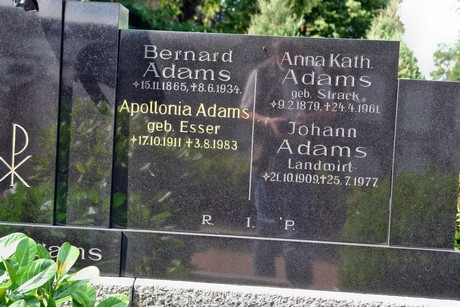 friedhof