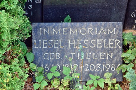 friedhof