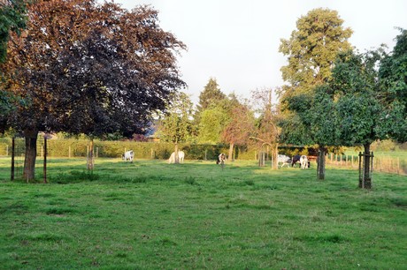 herrig-friedhof