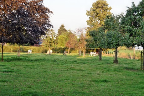 herrig-friedhof