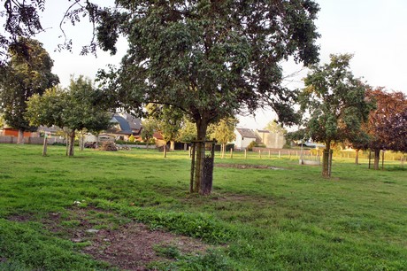 herrig-friedhof