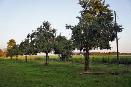 herrig-friedhof