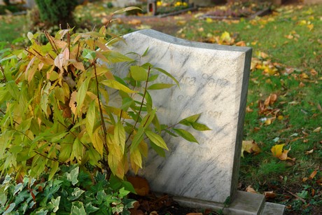 friedhof
