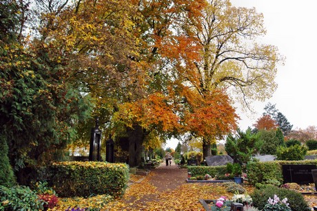 erftstadt
