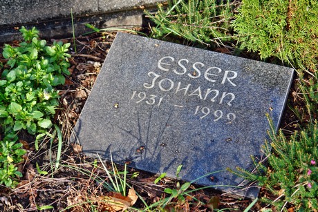 friedhof