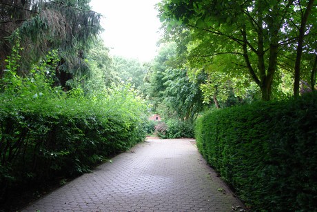 bachem-friedhof