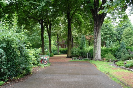 bachem-friedhof