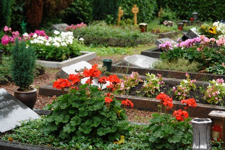 bachem-friedhof