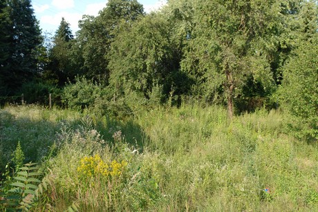 frechen