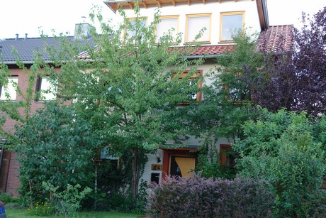 habbelrath