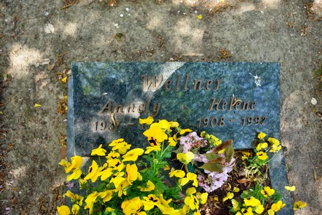 friedhof