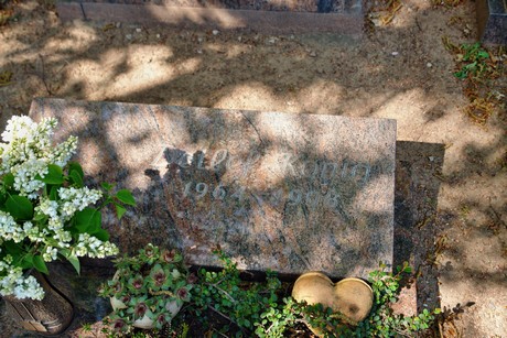 friedhof