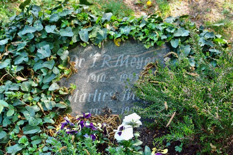 friedhof