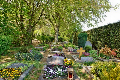 friedhof