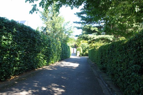 koenigsdorf