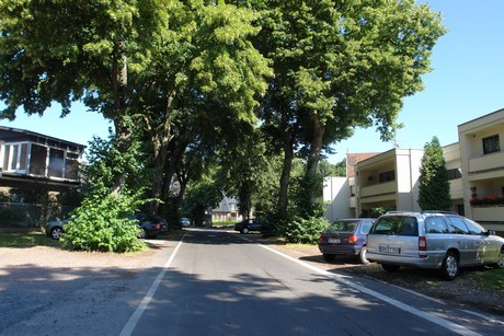 koenigsdorf