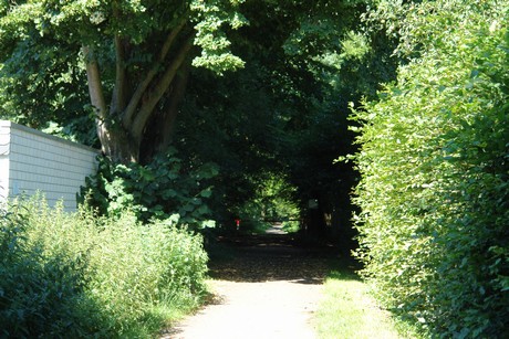 koenigsdorf