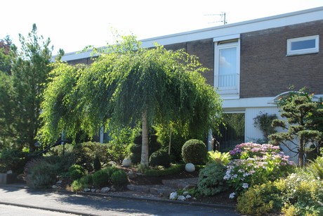 koenigsdorf