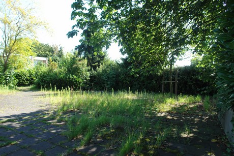 koenigsdorf