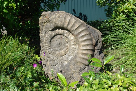 koenigsdorf