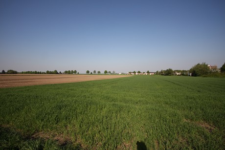 koenigsdorf