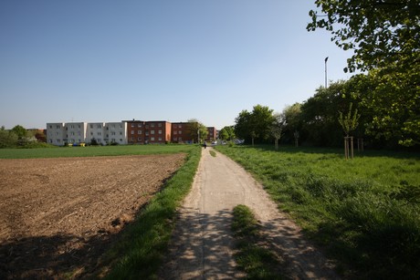 koenigsdorf