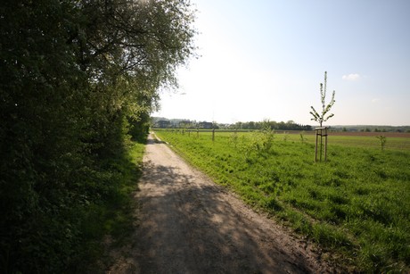 koenigsdorf