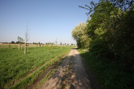 koenigsdorf
