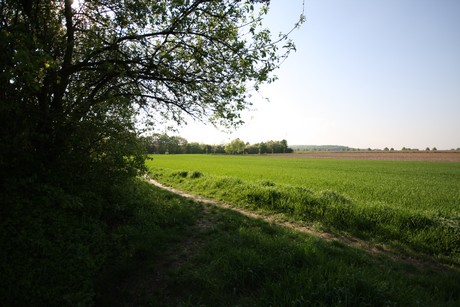 koenigsdorf