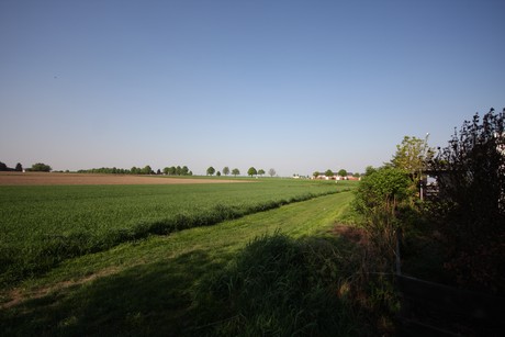 koenigsdorf