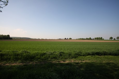 koenigsdorf