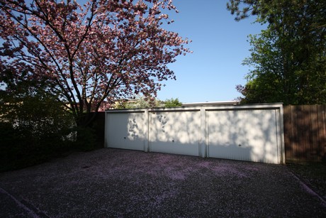 koenigsdorf