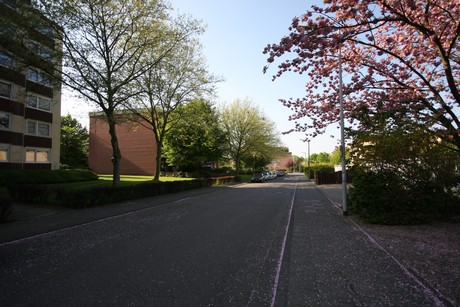 koenigsdorf