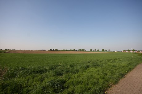 koenigsdorf
