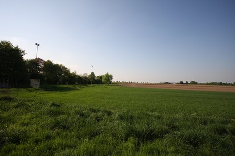 koenigsdorf