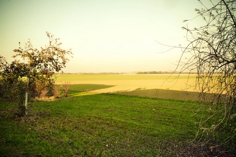 koenigsdorf