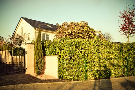 koenigsdorf