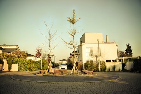koenigsdorf