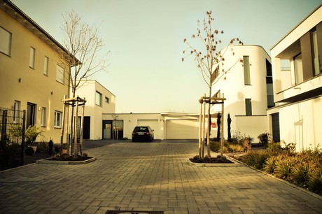 koenigsdorf