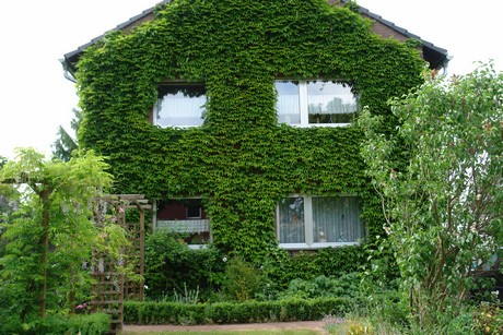 alstaedten