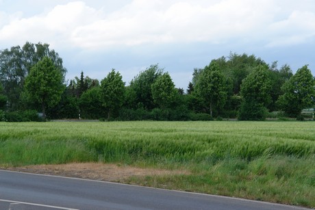 alstaedten