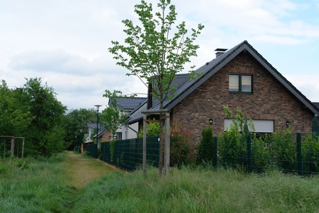 alstaedten